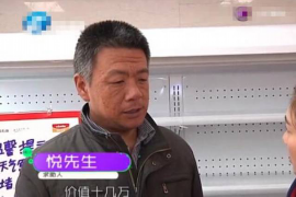 永嘉贷款清欠服务